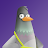 The Funky Pigeon