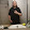 harley Sheldon harley Sheldon's profile photo
