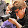 Andy Stettler Andy Stettler's profile photo