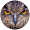 Onyx Owl