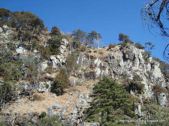 Vista parcial del cráter del Volcán de Tequila