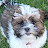 Michelle Mostafa avatar image