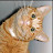 Baby Square avatar image