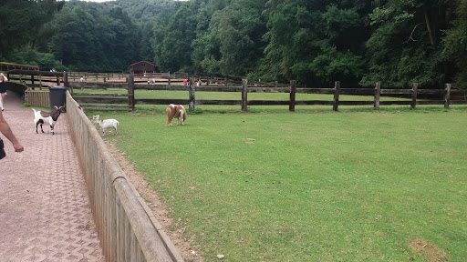 Wild- und Wanderpark Südliche Weinstrasse