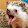 Patrick Fuhrman Patrick Fuhrman's profile photo