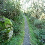 Walking along the Merrits Nature Track (275318)