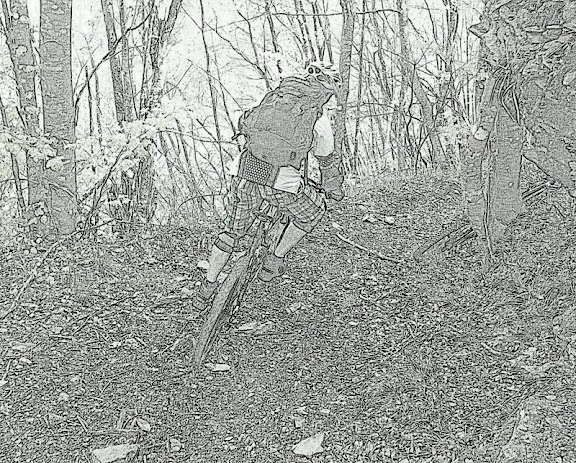P1000980.JPG