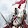 chris ankers chris ankers's profile photo