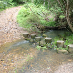 Stepping stones at Old man's Valley Creek (5770)