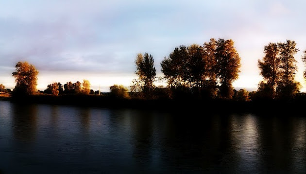 Cover photo