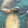 Andrea Acosta Andrea Acosta's profile photo