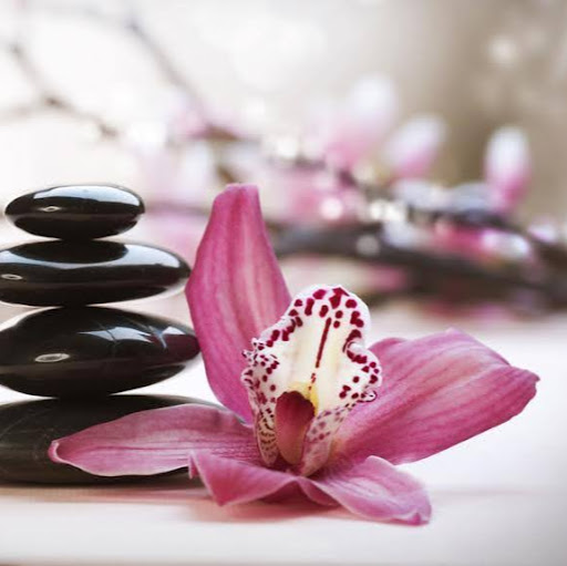 Orchidee - Kosmetik · Massage · Wellness