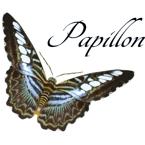 Papillon Mode Boutique logo