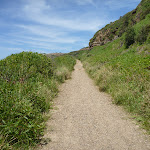 Uphill track near Spoons Rocks  (387764)
