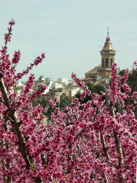 La Floración en Cieza - Senderismo en Murcia ✈️ Foros de Viajes - Foro Murcia