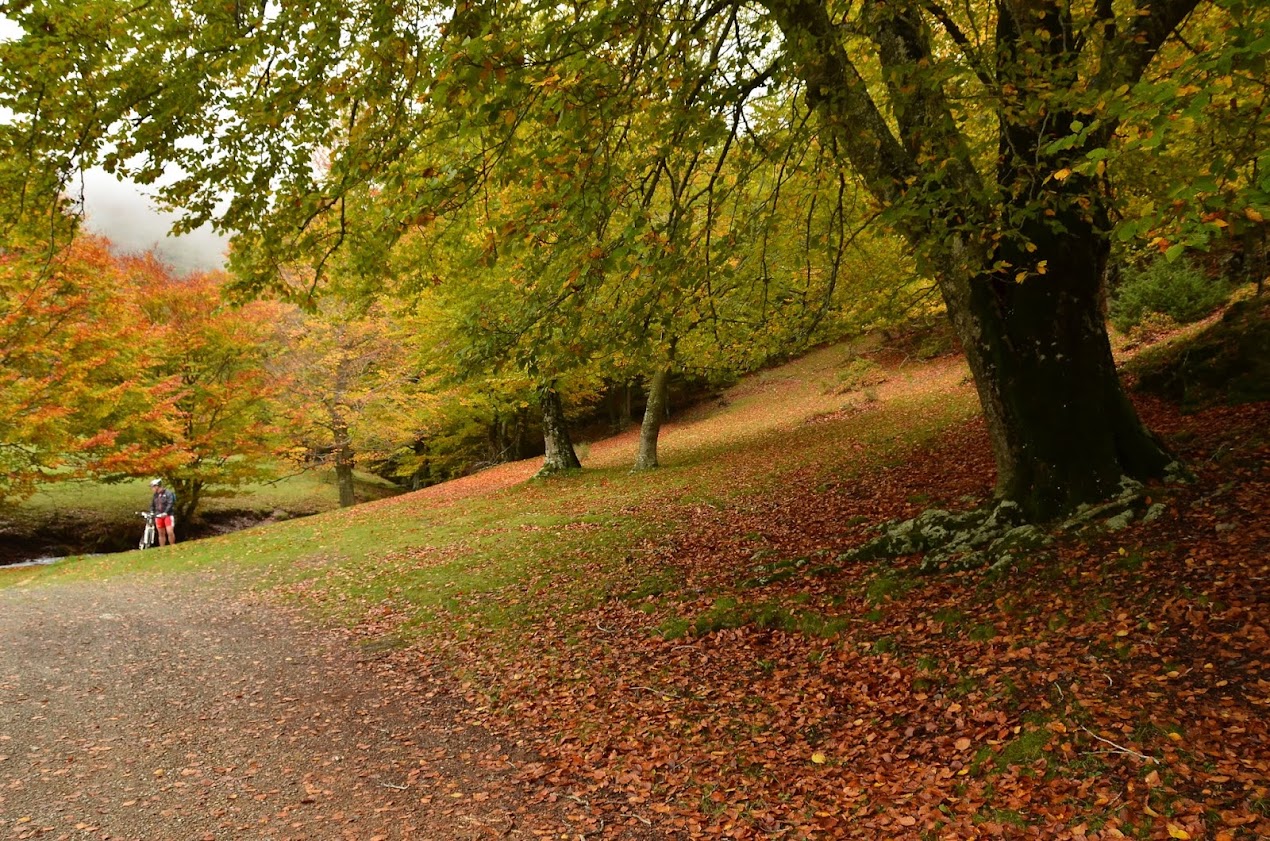 Montseny, 27 d'octubre de 2012