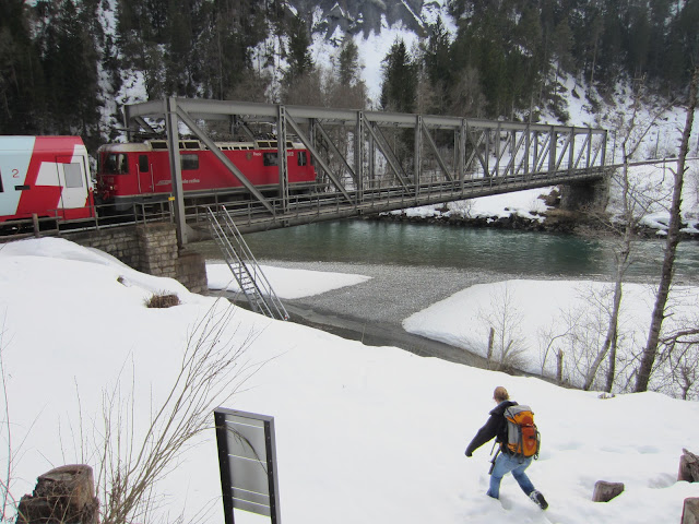 rhine trains