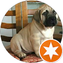 review by Thabiso Senona review by Thabiso Senona