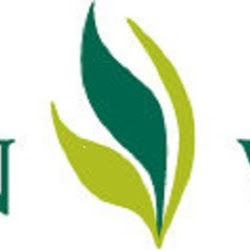 Salon Verde logo