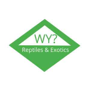 Wy? Reptiles and exotics ZOO!