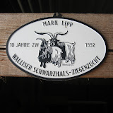 Mark Lipp, Hedingen