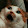TT Tarit TT Tarit's profile photo