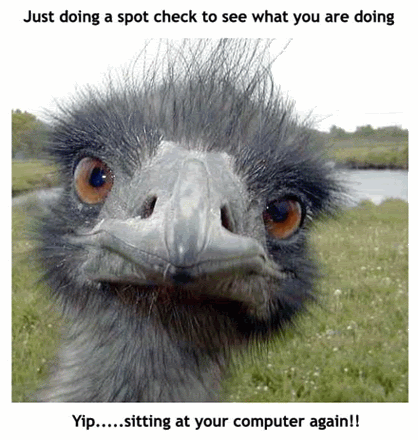 Funny Orkut Scrap