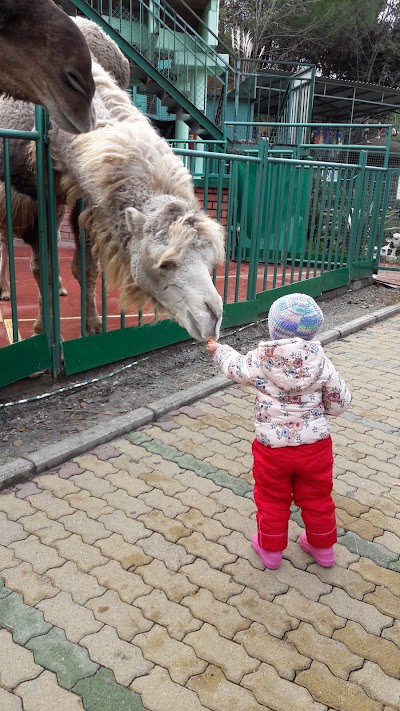 Photos of Zoo Sanatorium Oktyabrsky