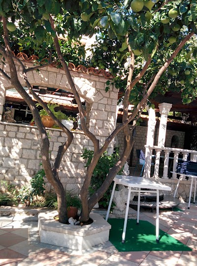Photos of "Segetski dvori"