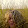 Maile Colbert Maile Colbert's profile photo