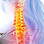 Timberhill SPINE CARE