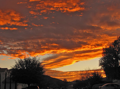 Desert Colors: March 2011