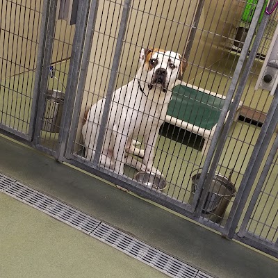 Photos of Cleveland Animal Protective League