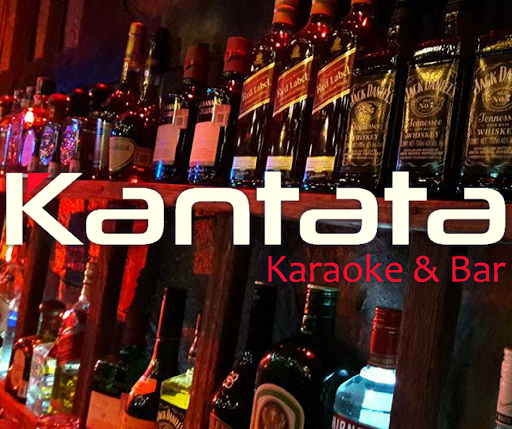 Kantata Karaoke Bar, Calle Hidalgo 154, Centro, 59300 La Piedad de Cavadas, Mich., México, Karaoke | MICH