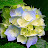 Debbie Tapner avatar image
