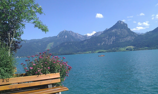 Cover photo