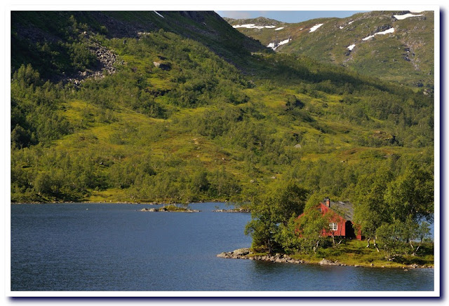 Viaje a la Noruega de los fiordos y Copenhague. - Blogs de Noruega - Viaje a la Noruega de los fiordos III (10)