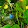 Paul Lipps Paul Lipps's profile photo