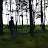 Aqil Mahmood avatar image