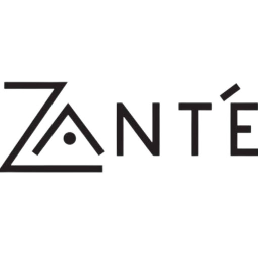 Zant'e Salon & Spa and Element 909 logo