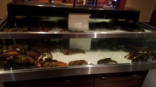 Seafood Restaurant «Red Lobster», reviews and photos, 3001 Finley Rd, Downers Grove, IL 60515, USA