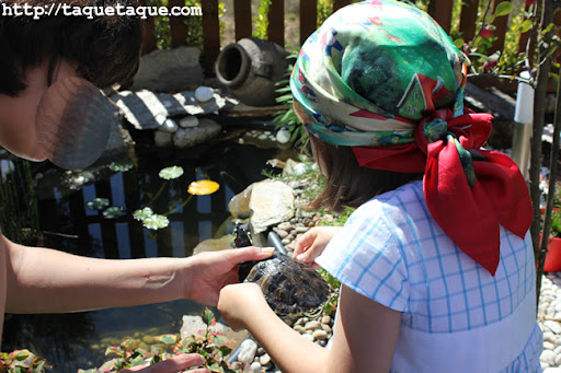 Rosi y Paola soltando las tortugas en el estanque de su jardín (Santiago de Compostela)