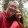Robert Cassis Robert Cassis's profile photo