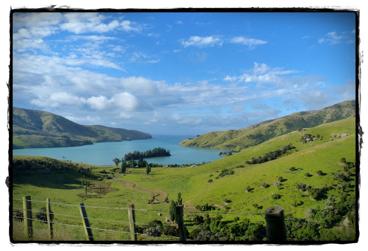 Christchurch y Akaroa - Te Wai Pounamu, verde y azul (Nueva Zelanda isla Sur) (8)