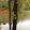 Danielle Hypertextress Danielle Hypertextress's profile photo