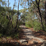 Following the Bluff Track service trail (127963)