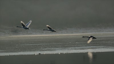 Photos of Krombachtalsperre