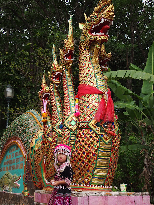 Por Tierras de Siam - Blogs de Tailandia - Chiang Mai - Tiger Kingdom / Maetaeng Elephant Park/ Wat Doi Suthep (29)