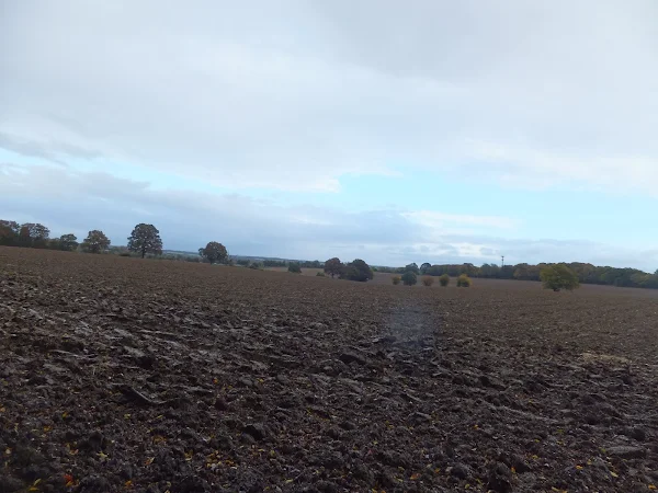 Fields near Homewood