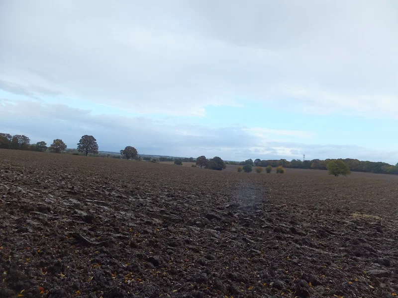 Fields near Homewood